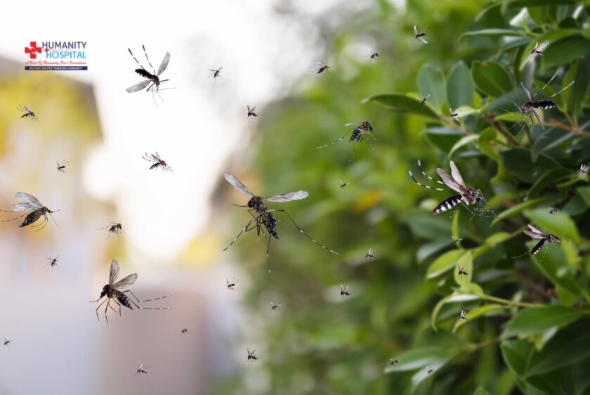 How to Prevent Dengue and Malaria During the Monsoon Season